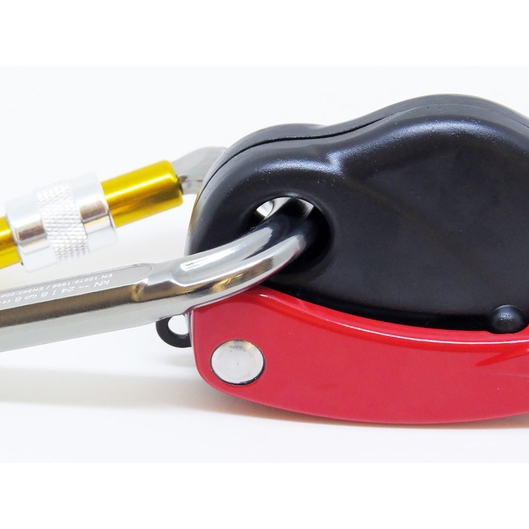 DESCENSOR LORY SAFE ANTHRON